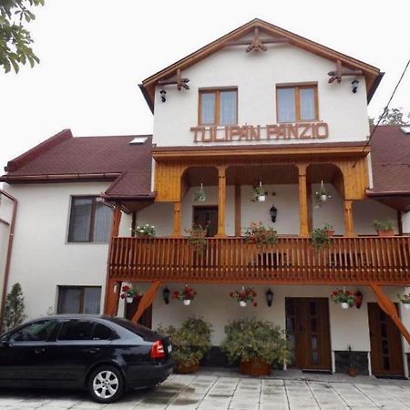Tulipan Panzio Bed and Breakfast Sfântu-Gheorghe Exteriör bild