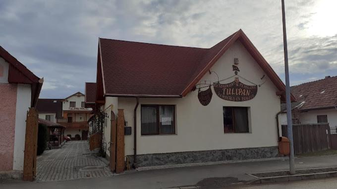 Tulipan Panzio Bed and Breakfast Sfântu-Gheorghe Exteriör bild